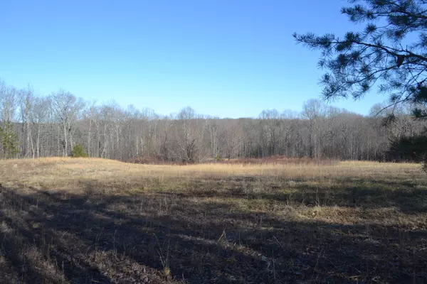 Spring City, TN 37381,58ac Jb Swafford Rd.