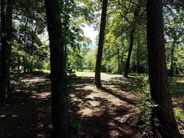 Whitwell, TN 37397,195 Pickett Cross RD