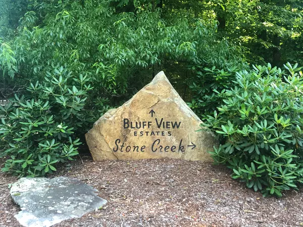 Dunlap, TN 37327,0 Bluff View DR