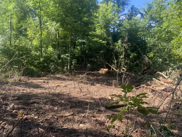 Trenton, GA 30752,1650 Mckaig RD