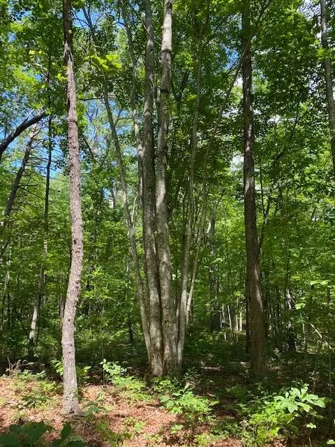 Altamont, TN 37301,Lot 44 Bluff Woods