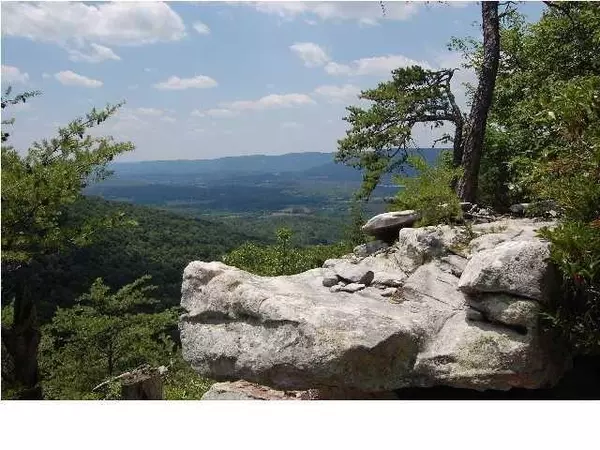Cloudland, GA 30731,7 Tatum Overlook