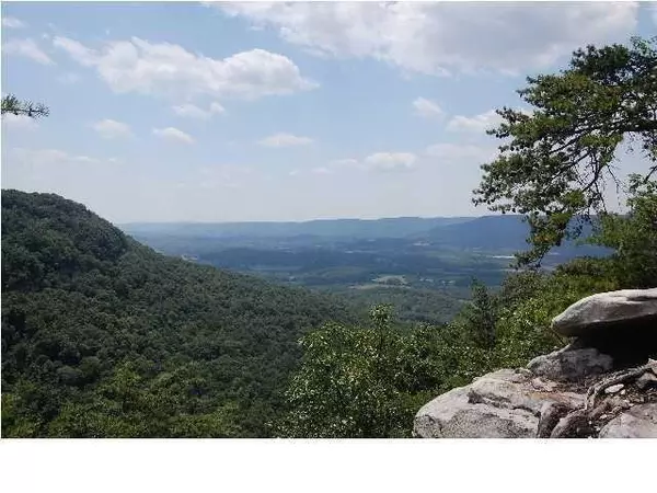 Cloudland, GA 30731,7 Tatum Overlook