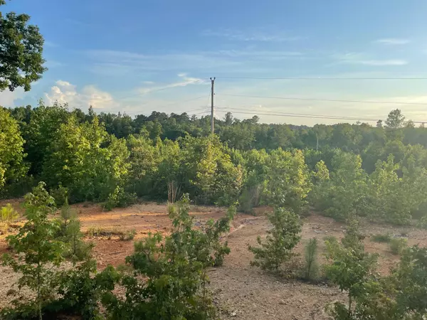 Rocky Face, GA 30740,0 Miracle DR