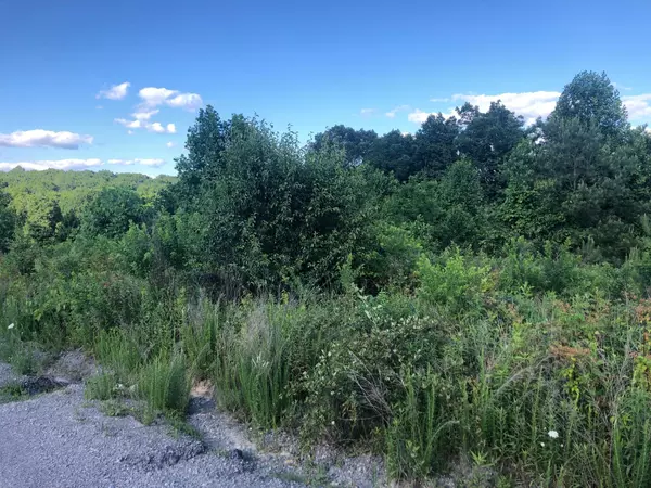 Dunlap, TN 37327,0 Fredonia Farm RD