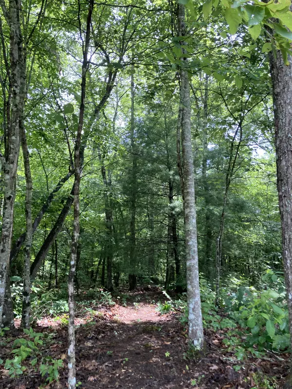 Pikeville, TN 37367,2 And 3 Green DR
