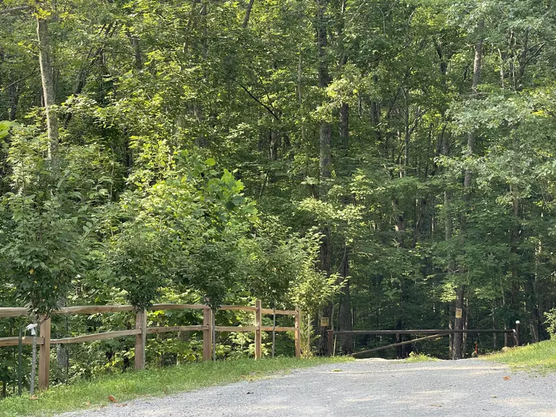 00 Big Springs Gap RD, Pikeville, TN 37367