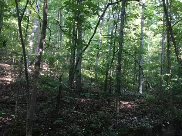 Pikeville, TN 37367,0 Hwy 30 W