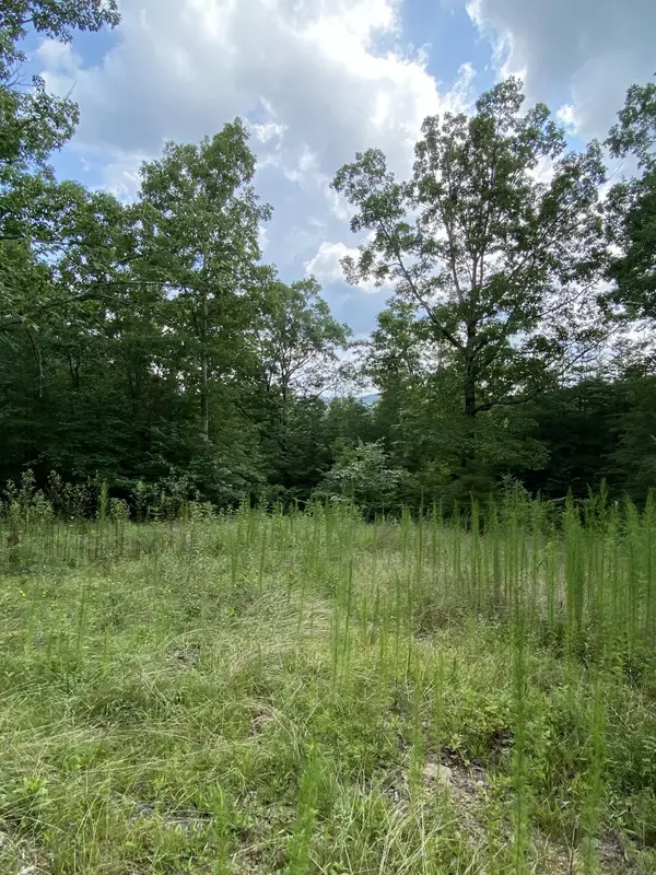Pikeville, TN 37367,160 Ed Bowling Rd