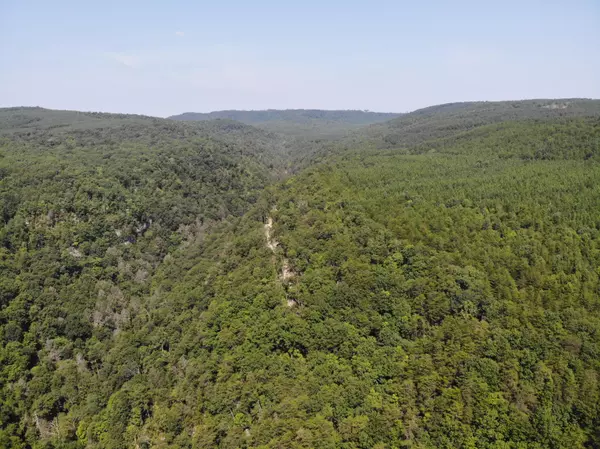 Dunlap, TN 37327,0 Arlen Holland RD