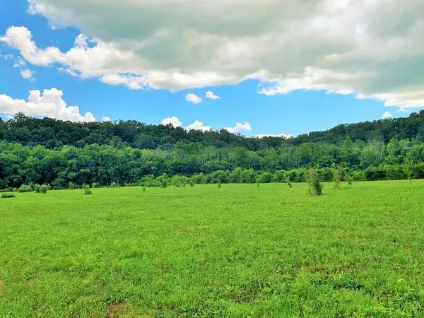 Dunlap, TN 37327,Lot #18 Eden LN