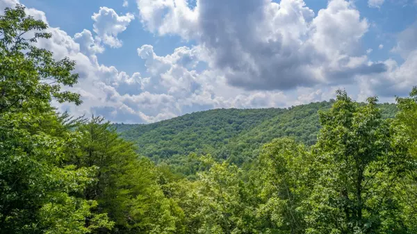 Lot 64 Shivas North, Rising Fawn, GA 30738