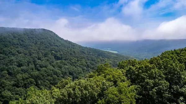 Cloudland, GA 30731,19 Cabin Drive