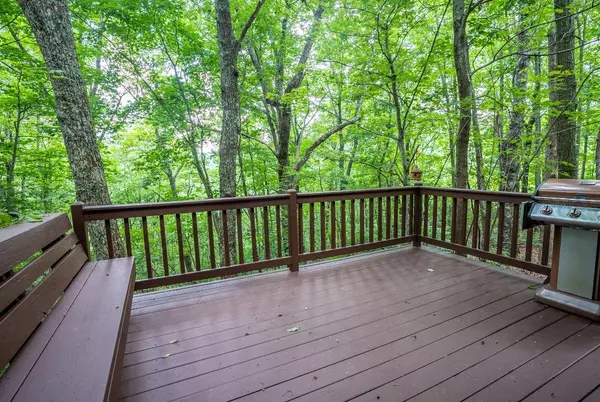 Cloudland, GA 30731,19 Cabin Drive