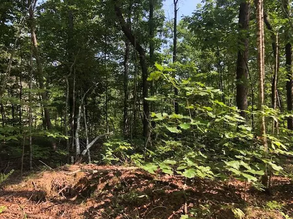 Pikeville, TN 37367,026 Dogwood Flat RD