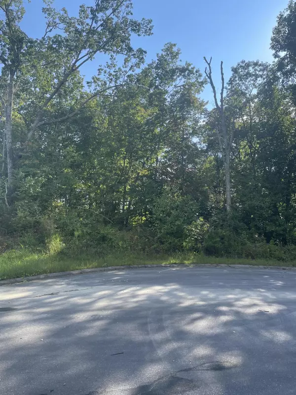 Cohutta, GA 30710,Lot 36-37 Wexford PL