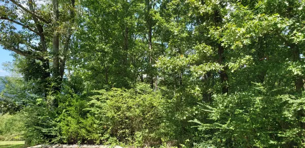 Dunlap, TN 37327,0 Shady Oaks CV