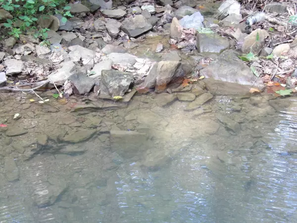 Pikeville, TN 37367,00 Cove Hill RD