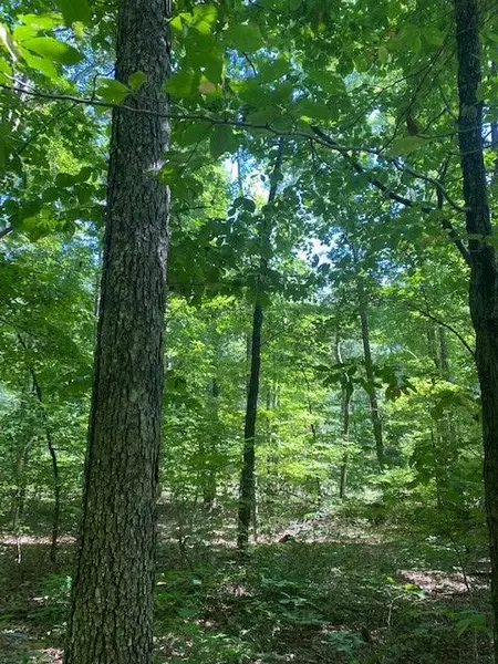 Lot 13 Mountain Lake Drive, Pikeville, TN 37367