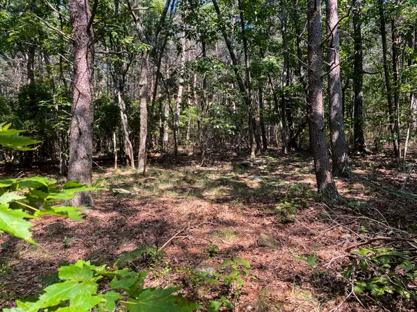 0 Old Rocky TRL, Rising Fawn, GA 30738