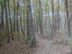 0 Old State RD, Cloudland, GA 30731