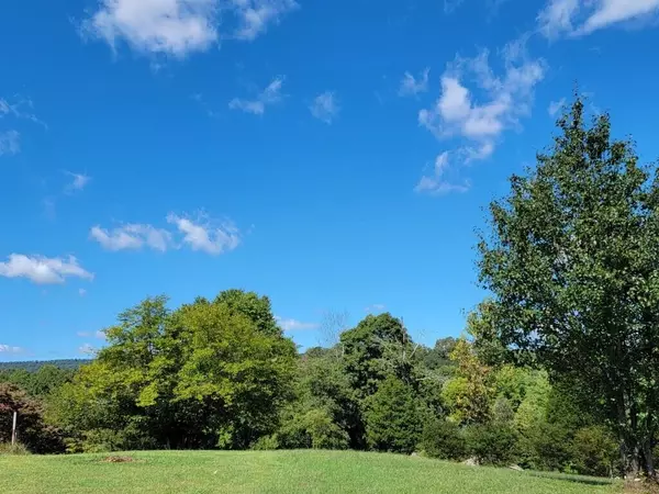 Spring City, TN 37381,766 Kemmer RD