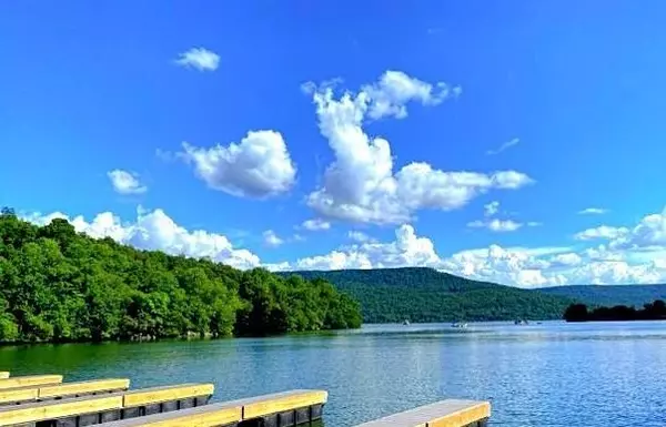 11b Clubhouse DR, Jasper, TN 37347