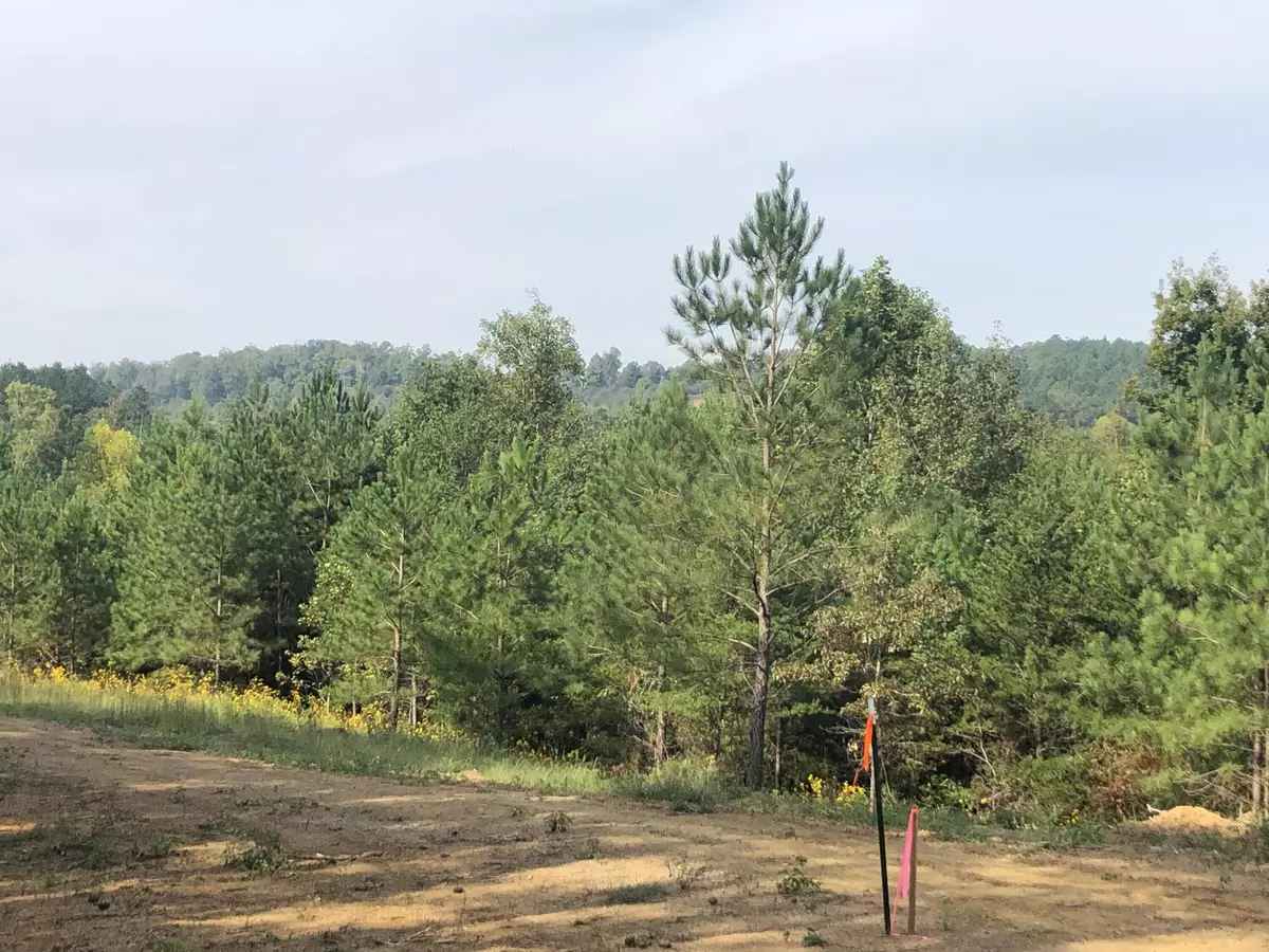 Calhoun, TN 37309,8 Athens RD