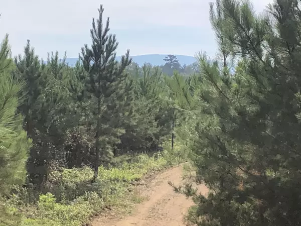 Calhoun, TN 37309,15 Athens RD