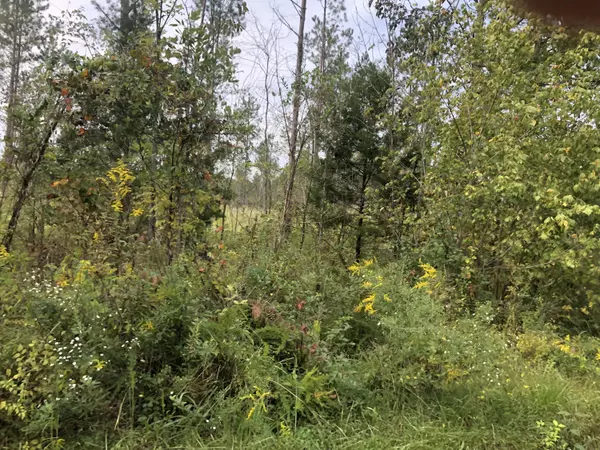 Calhoun, TN 37309,24 Athens RD