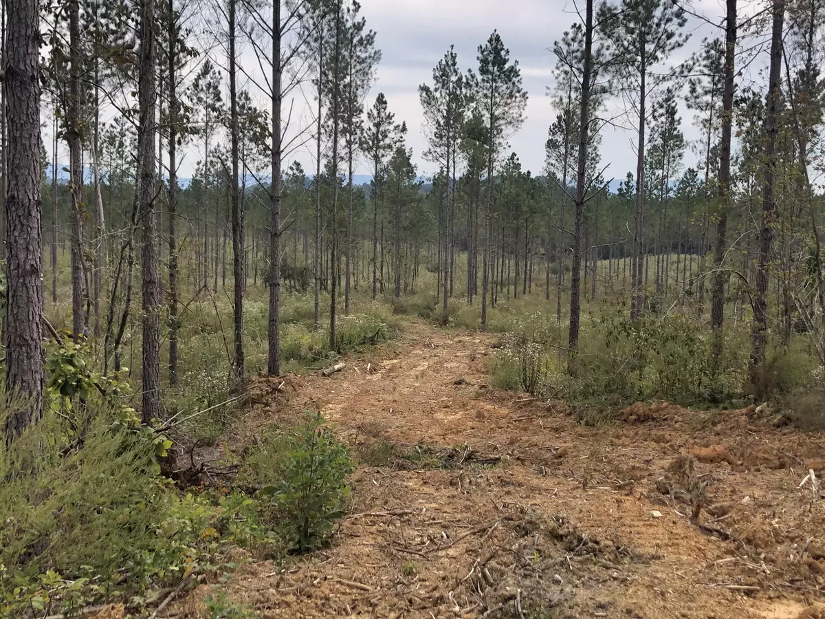 Calhoun, TN 37309,26 Athens RD