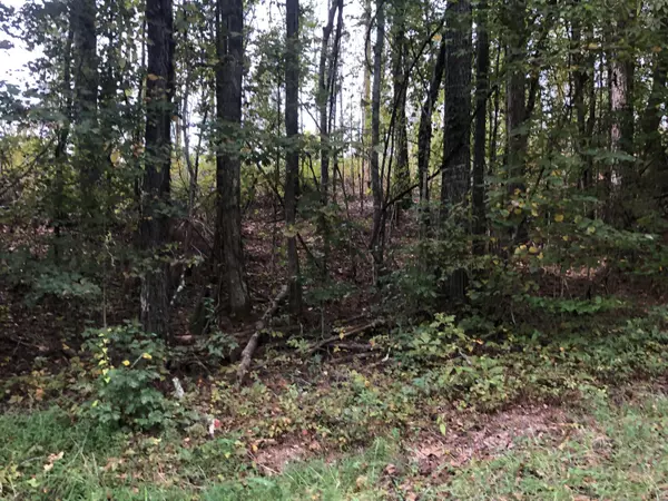 Calhoun, TN 37309,27 Athens RD