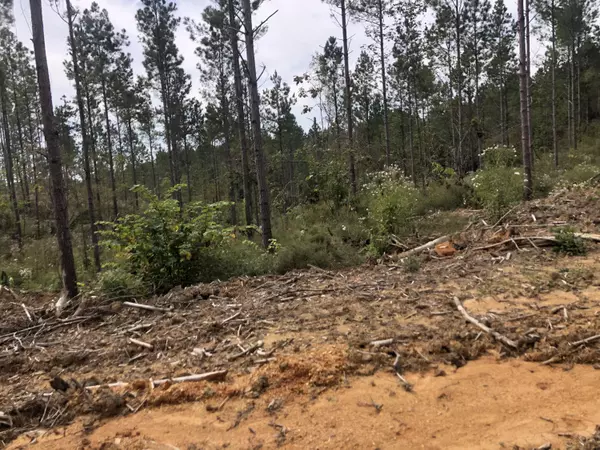 Calhoun, TN 37309,27 Athens RD