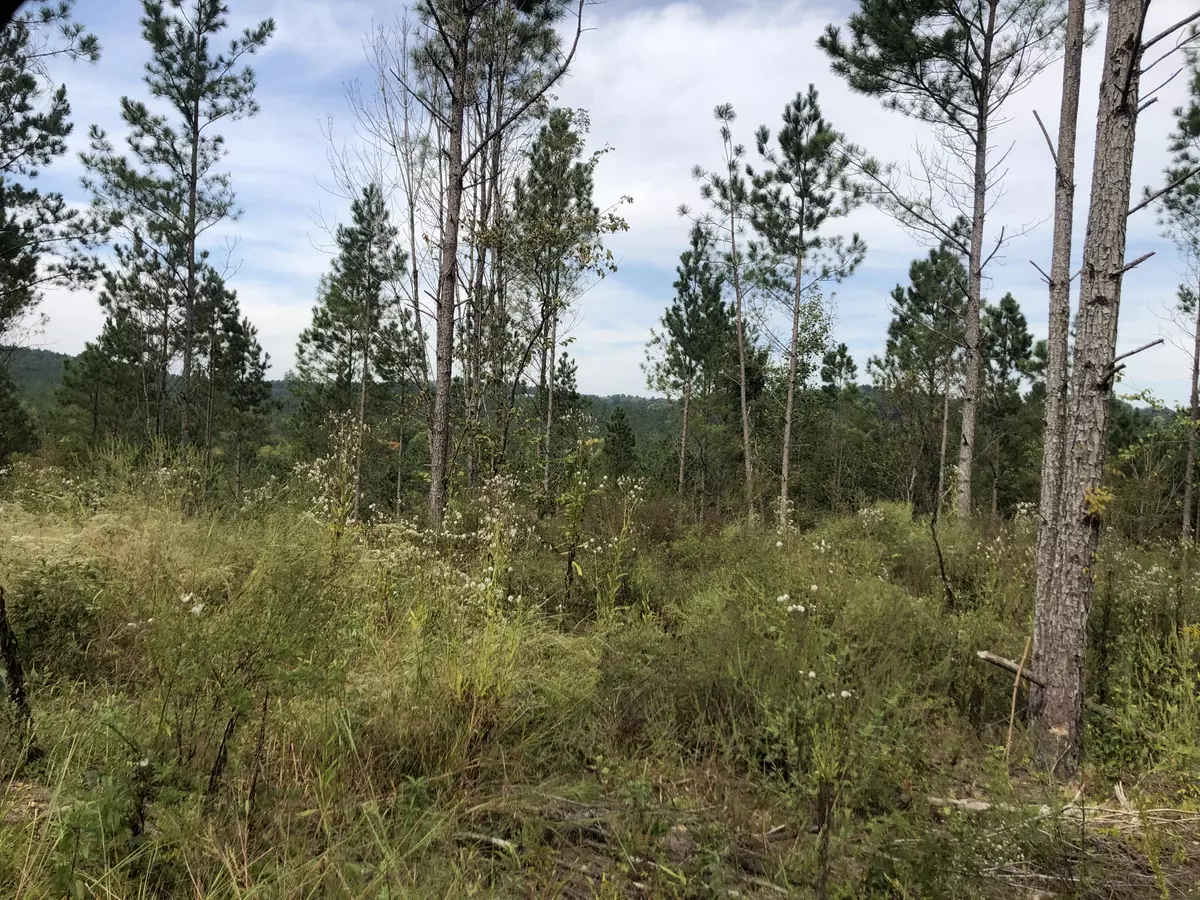 Calhoun, TN 37309,29 Athens RD