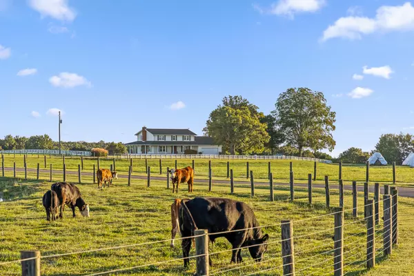 Trenton, GA 30752,841 Avery RD