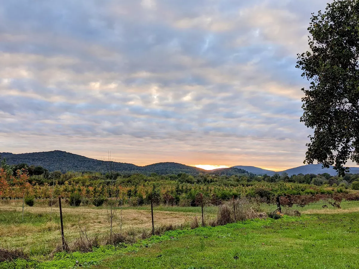 Mcminnville, TN 37110,1032 Hills Creek RD