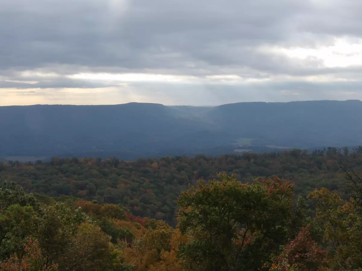 Pikeville, TN 37367,0 Harlee Vista RD