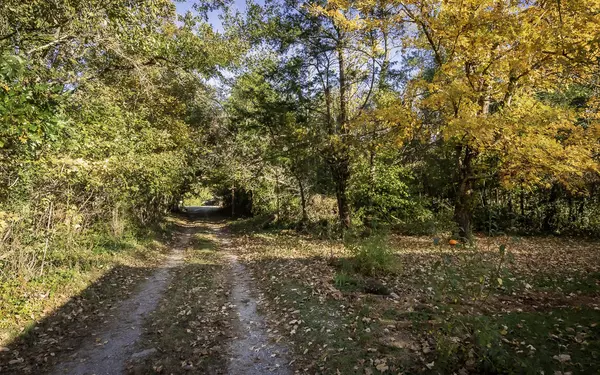 Trenton, GA 30752,11133 Highway 11