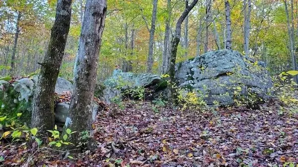 Dunlap, TN 37327,243 Roaring Creek RD
