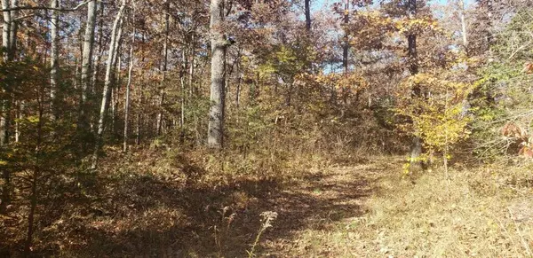 Dunlap, TN 37327,2503 Barker Camp RD