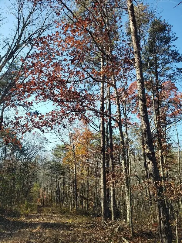 Crossville, TN 38572,Lot 10 Cool Breeze DR