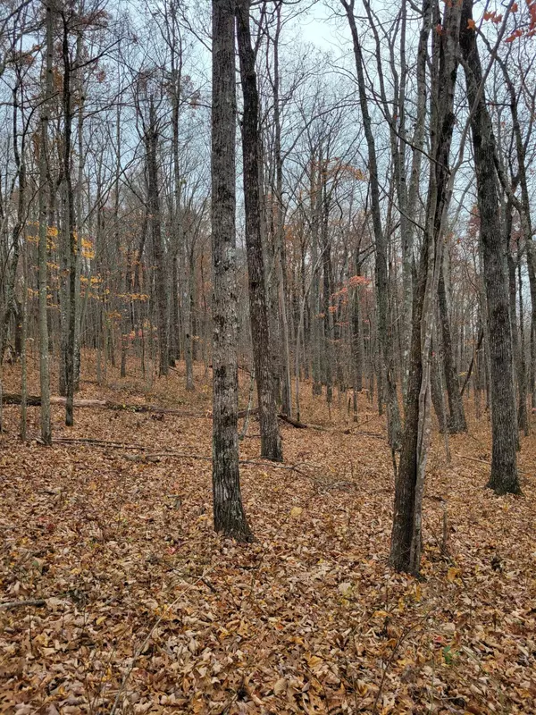 Dunlap, TN 37327,5.3 Frieda LN