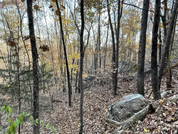 Mcdonald, TN 37353,0 Pine Hill RD