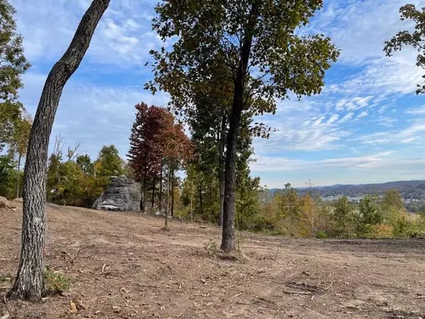 Mcdonald, TN 37353,0 Pine Hill RD