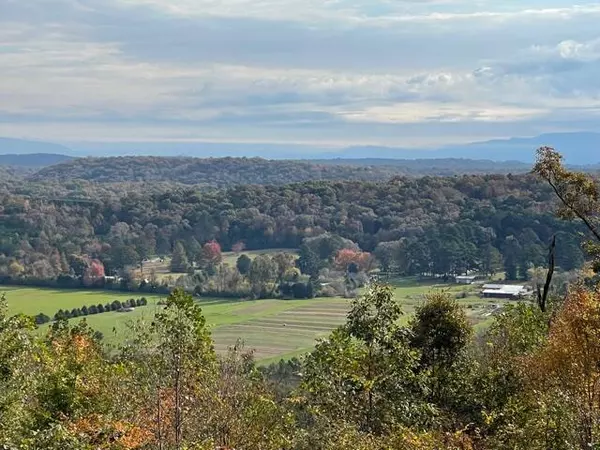 Mcdonald, TN 37353,0 Pine Hill RD