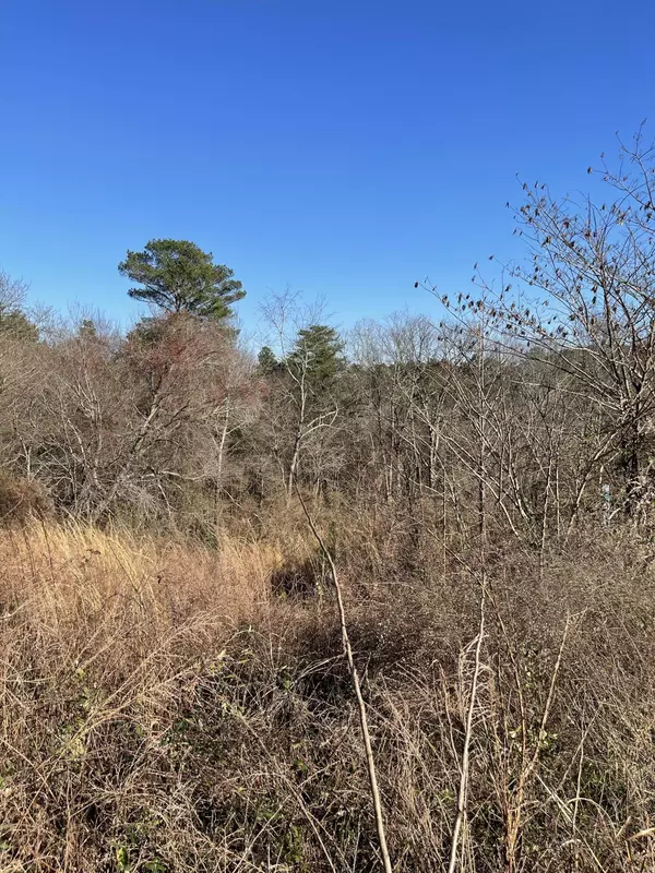 Chickamauga, GA 30707,0 Candie LN