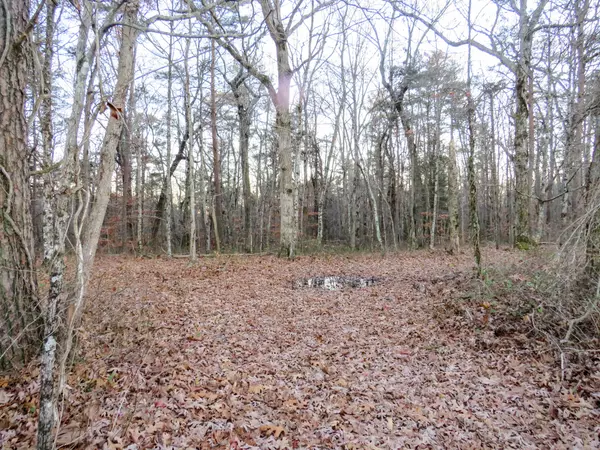 Beersheba Springs, TN 37305,0 Besstown RD