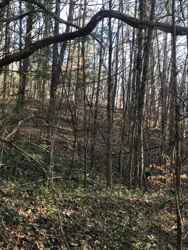 0 R 28 HWY, Whitwell, TN 37397