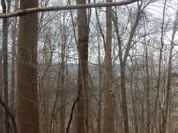 Pikeville, TN 37367,00 Cherokee Ridge RD