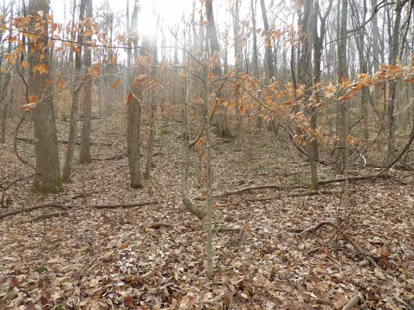 Pikeville, TN 37367,00 Cherokee Ridge RD